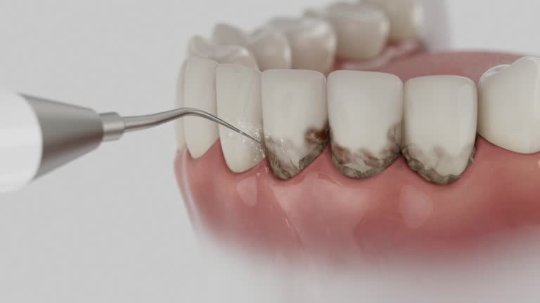 Reliable Dental contractor in Chinle, AZ by Dentist Open Now